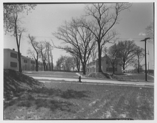 Barry Farms Housing Development, Washington, D.C. Group among trees (1944)