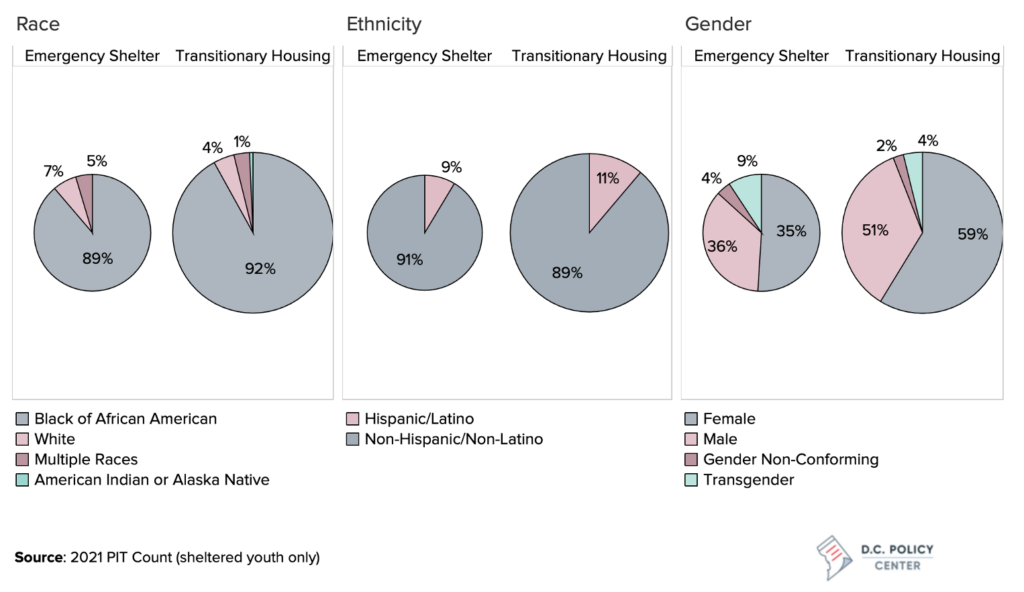 pie charts of race, ethnicity, and gender percentages for youth experiencing homelessness in 2021. Most youth are Black, non-hispanic, and female. 