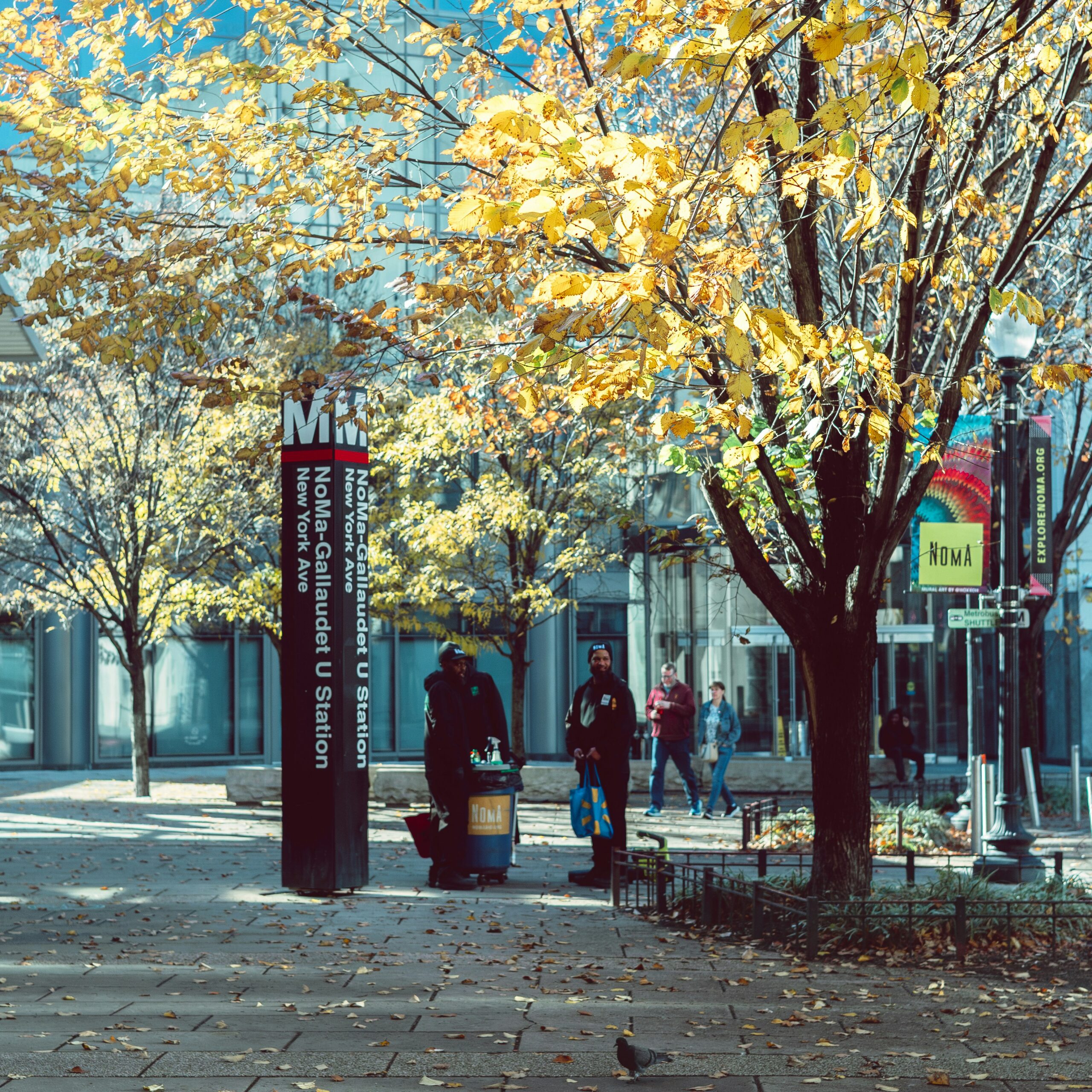 Featured Image